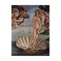 Trademark Fine Art Sandro Botticelli 'Birth of Venus 1484' Canvas Art, 35x47 BL01322-C3547GG
